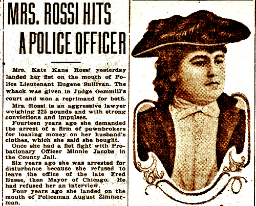 Picture of article about Kate Kane Rossi hitting  a police officer.
